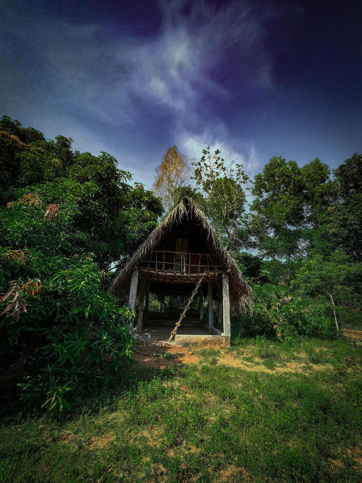 Art Forest Puduččéri Exteriér fotografie
